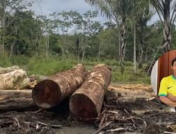 Menhut Raja Juli Bungkam Soal 12 Perusahaan Perusak Hutan, Eks Ketua KPK Geram